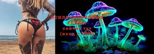 твердый Алексеевка