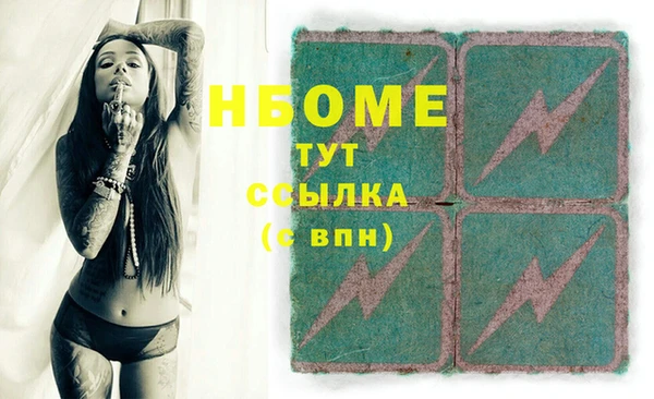 гашик Алексин