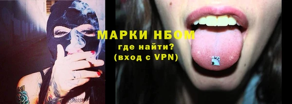 гашик Алексин