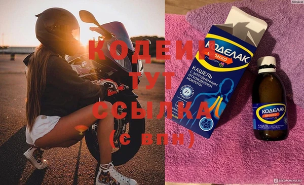гашик Алексин
