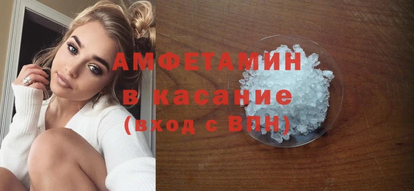 гашик Алексин