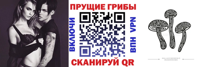 Псилоцибиновые грибы мицелий  Дмитров 